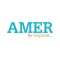 Amer Rugs