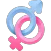 Predict Gender
