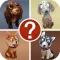 Guess the Dogs ~ Free Pics Quiz