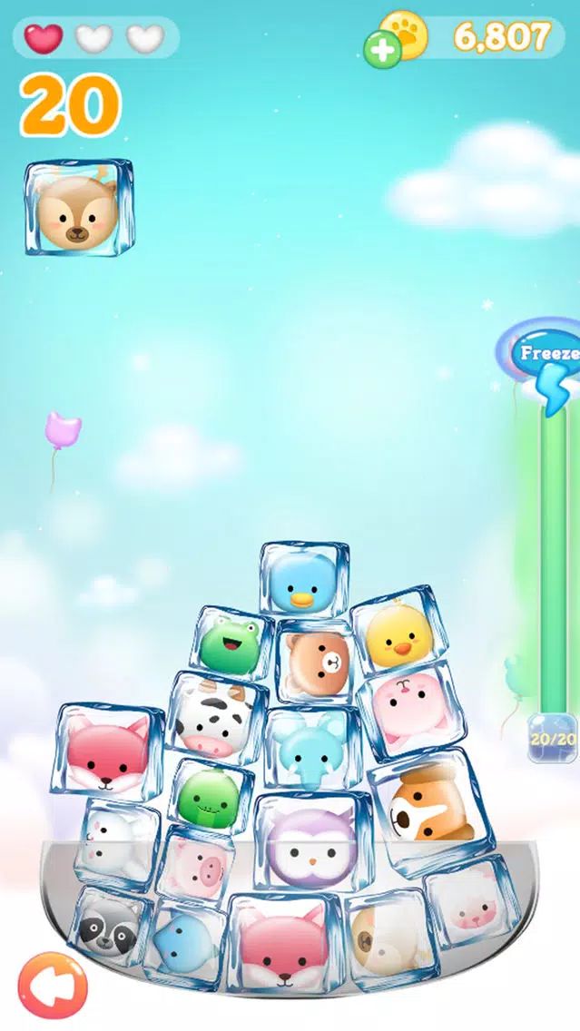 Zoo Drop : Jelly Maina স্ক্রিনশট