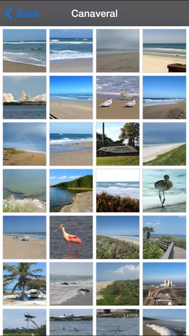 Cape Cod National Park Screenshots