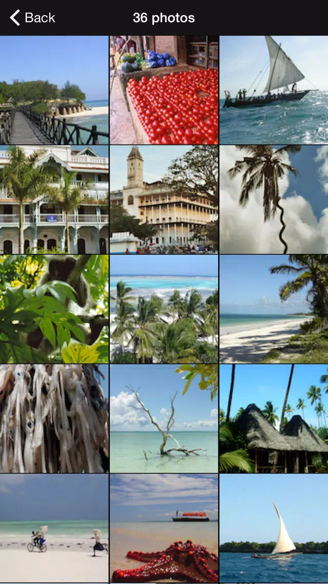 Zanzibar Island Offline Travel Guide Screenshots