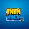 Enem Ninja
