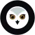 Owl Guardian
