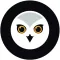 Owl Guardian