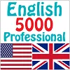 English 5000 words - Professional
