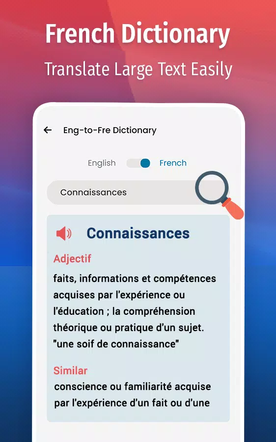 French Chat Translator Screenshots