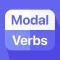 English Verbs Grammar test Pro