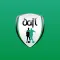 Dubai Amateur Football League