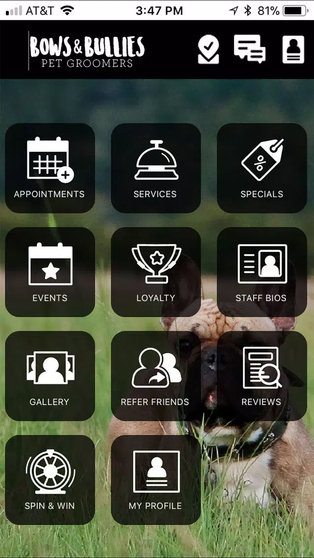 Bows & Bullies Screenshots