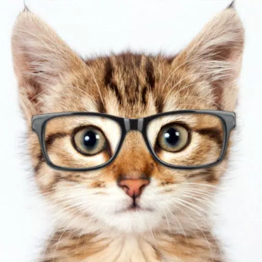 Catify - Cat Effects Camera