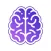 The Fluid Intelligence