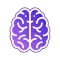 The Fluid Intelligence