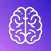 Rapid IQ Test