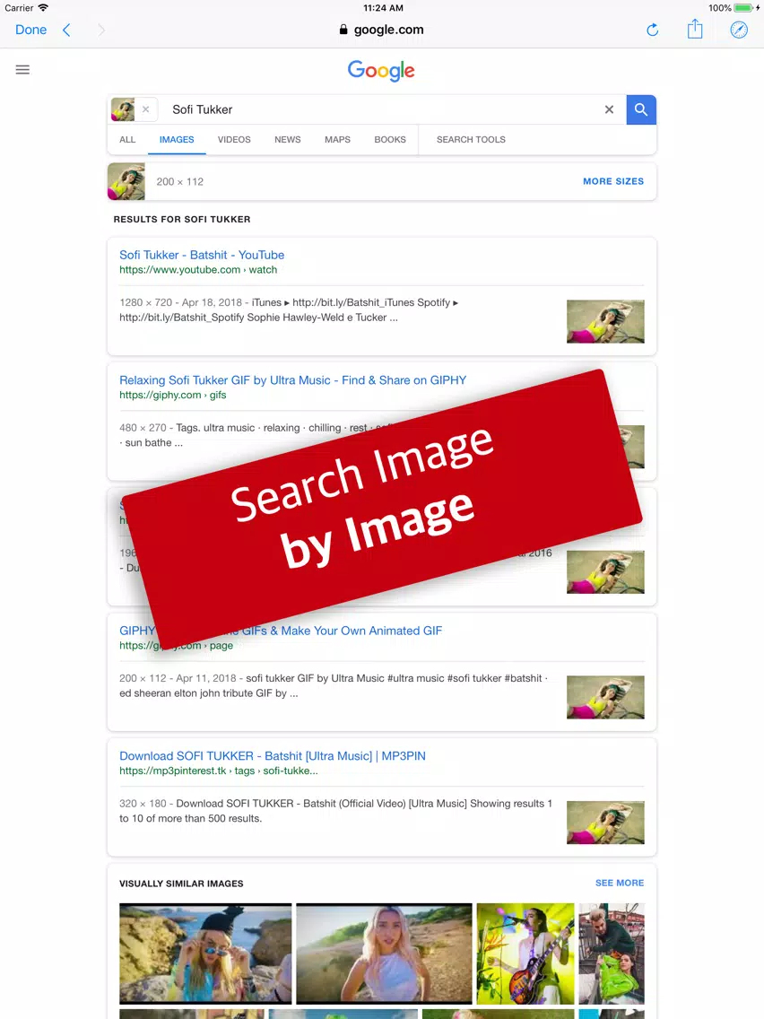 Reverse Image Search by Image iPad Screenshots