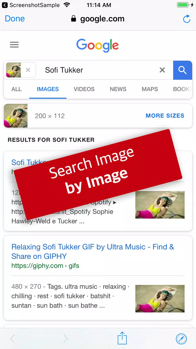Reverse Image Search by Image Screenshots
