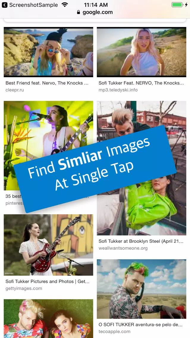Reverse Image Search by Image Screenshots