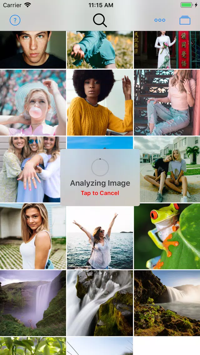 Reverse Image Search by Image Screenshots