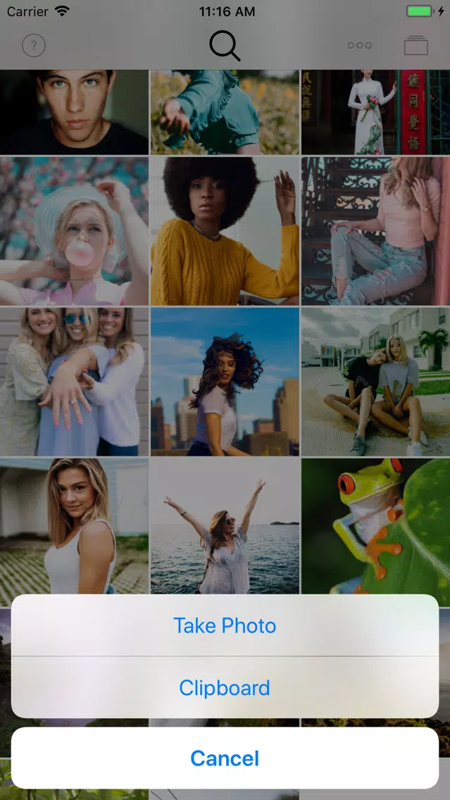 Reverse Image Search by Image Screenshots
