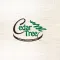 Cedar Tree UAE