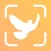 Bird Identifier: BirdID