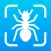Bug Finder: Identifier