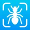 Bug Finder: Identifier