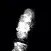 Finger Print Imager