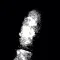 Finger Print Imager
