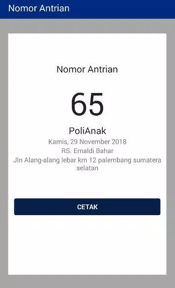 Antrian RS Ernaldi Bahar Screenshots