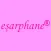 eşarphane