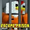 ESCAPE PRISON