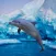 Antarctic Dolphin Escape