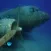 UnderWater Airplane Escape