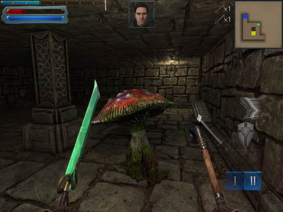 Into The Dark: Dungeon Crawler iPad 應用截圖