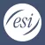 ESI mPhone