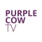 Purple Cow TV