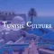 Tunisie Culture