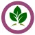 Essential Oils: Young Living