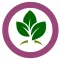 Essential Oils: Young Living