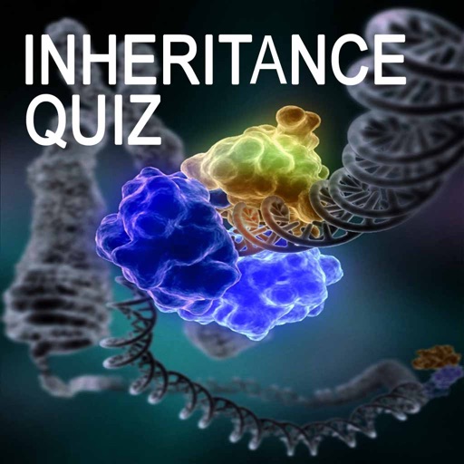 Genetics Inheritance Quiz B Genetics Inheritance Quiz B