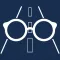 Vision & Road Safety Simulator
