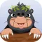 Mole in Yard