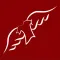 WingShirts