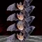 The BatCave