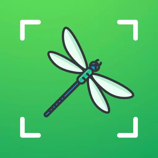 Bug identifier - Spider,Insect Bug identifier - Spider,Insect