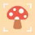 Mushroom identification ‣