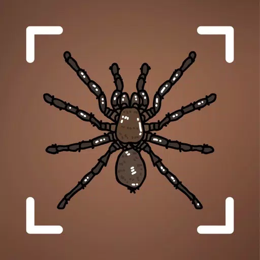 Spider identifier - Bug,insect Spider identifier - Bug,insect