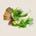 Ayurvedic Remedies - Treatment - Herbs