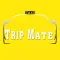 TripMate Cabs